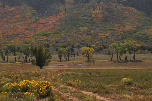 the fall colors along Highway 141